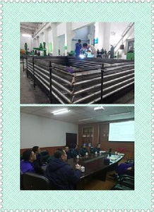 質(zhì)量提升 貴在行動 系統(tǒng)化活動策劃方案