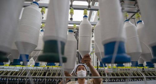 三重困境下的外貿工廠 接單、履約與收款之難，國內貿易轉型路在何方？